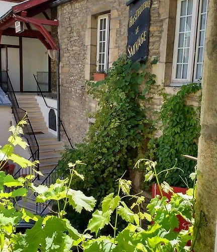 Hôtel Le Sauvage Dijon